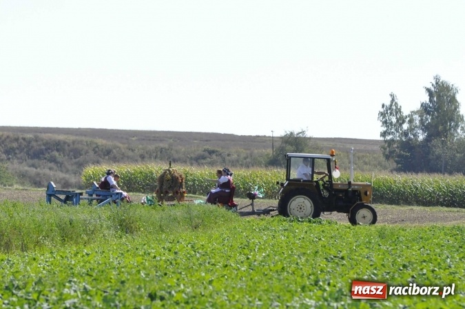 Zdjęcie w galerii na portalu naszraciborz.pl: Dożynki 2016. Praczki Słowianki z Żerdzin i dżentelmeni z Pawłowa w korowodzie na gminnych dożynkach w Makowie wiadomości z regionu