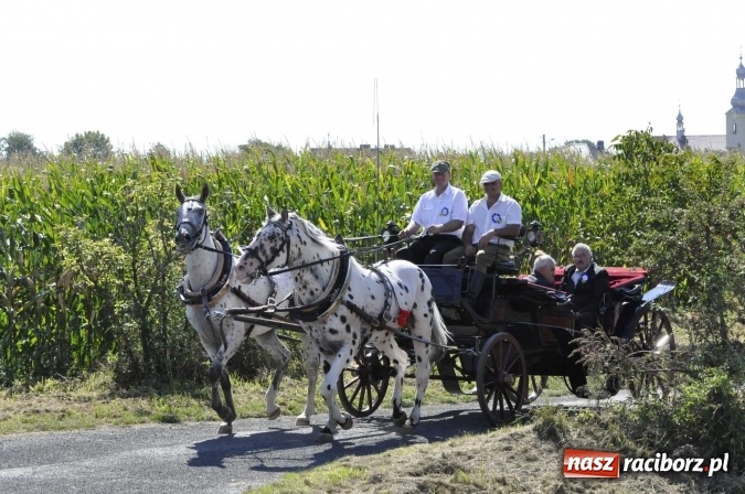 Zdjęcie w galerii na portalu naszraciborz.pl: Dożynki 2016. Praczki Słowianki z Żerdzin i dżentelmeni z Pawłowa w korowodzie na gminnych dożynkach w Makowie wiadomości z regionu