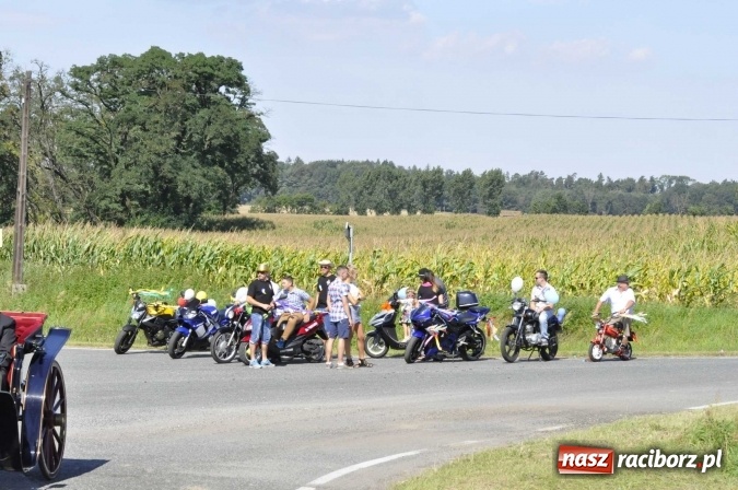 Zdjęcie w galerii na portalu naszraciborz.pl: Dożynki 2016. Praczki Słowianki z Żerdzin i dżentelmeni z Pawłowa w korowodzie na gminnych dożynkach w Makowie wiadomości z regionu