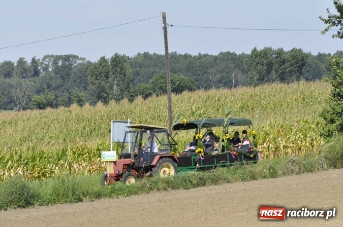 Zdjęcie w galerii na portalu naszraciborz.pl: Dożynki 2016. Praczki Słowianki z Żerdzin i dżentelmeni z Pawłowa w korowodzie na gminnych dożynkach w Makowie wiadomości z regionu