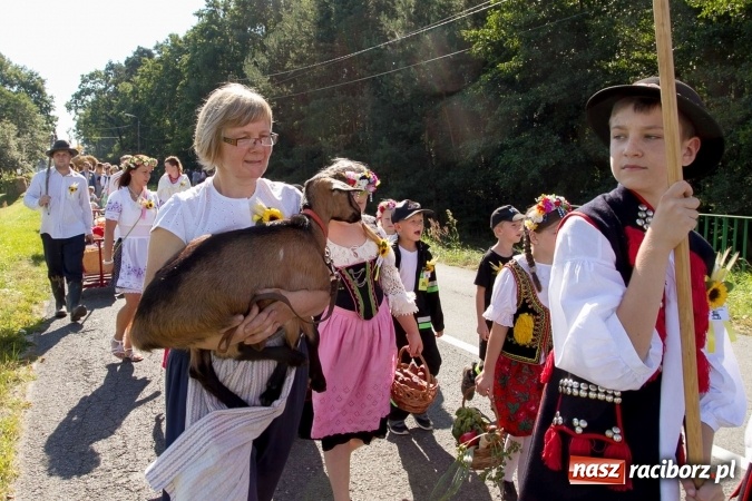 Zdjęcie w galerii na portalu naszraciborz.pl: Dożynki 2016. W Rudzie Kozielskiej jak na karnawale w Rio de Janeiro wiadomości z regionu