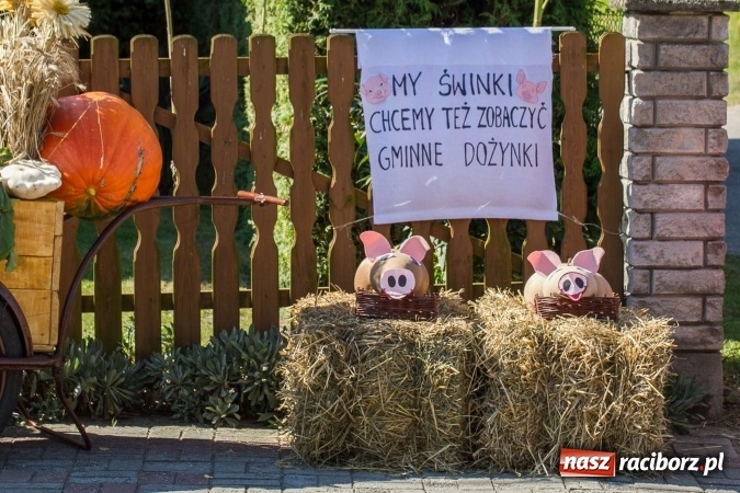 Zdjęcie w galerii na portalu naszraciborz.pl: Dożynki 2016. W Rudzie Kozielskiej jak na karnawale w Rio de Janeiro wiadomości z regionu