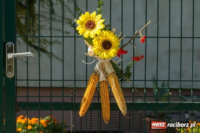 Zdjęcie w galerii na portalu naszraciborz.pl: Dożynki 2016. W Rudzie Kozielskiej jak na karnawale w Rio de Janeiro wiadomości z regionu