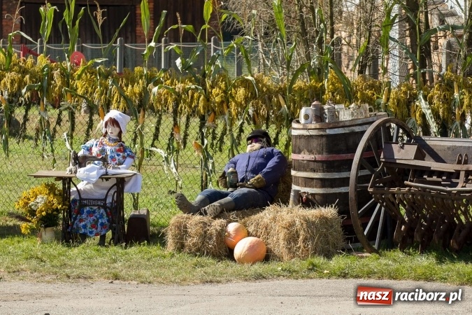 Zdjęcie w galerii na portalu naszraciborz.pl: Dożynki 2016. W Rudzie Kozielskiej jak na karnawale w Rio de Janeiro wiadomości z regionu