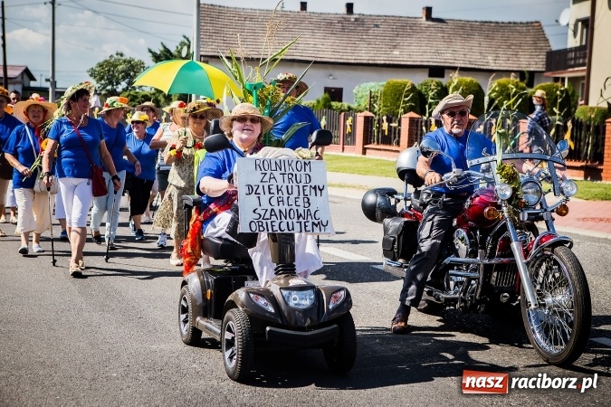 Zdjęcie w galerii na portalu naszraciborz.pl: Dożynki 2016. W Bojanowie świętuje cała gmina Krzanowice. Kolorowo i pomysłowo wiadomości z regionu
