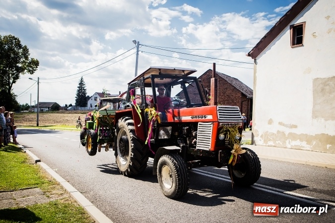 Zdjęcie w galerii na portalu naszraciborz.pl: Dożynki 2016. W Bojanowie świętuje cała gmina Krzanowice. Kolorowo i pomysłowo wiadomości z regionu