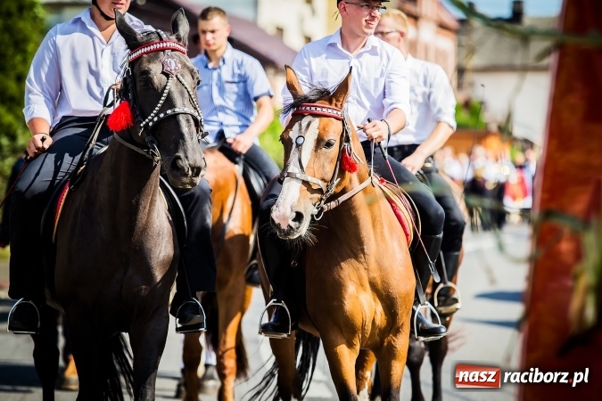 Zdjęcie w galerii na portalu naszraciborz.pl: Dożynki 2016. W Bojanowie świętuje cała gmina Krzanowice. Kolorowo i pomysłowo wiadomości z regionu