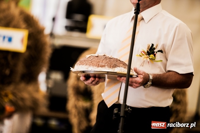 Zdjęcie w galerii na portalu naszraciborz.pl: Dożynki 2016. W Bojanowie świętuje cała gmina Krzanowice. Kolorowo i pomysłowo wiadomości z regionu