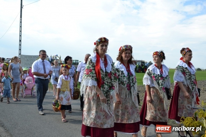 Zdjęcie w galerii na portalu naszraciborz.pl: Dożynki 2016. Święto plonów w Rudyszwałdzie wiadomości z regionu