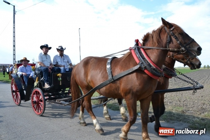 Zdjęcie w galerii na portalu naszraciborz.pl: Dożynki 2016. Święto plonów w Rudyszwałdzie wiadomości z regionu