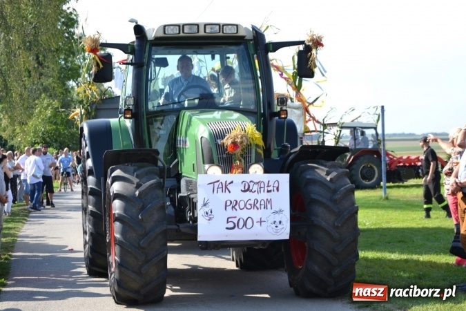 Zdjęcie w galerii na portalu naszraciborz.pl: Dożynki 2016. Święto plonów w Rudyszwałdzie wiadomości z regionu