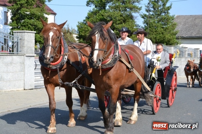 Zdjęcie w galerii na portalu naszraciborz.pl: Dożynki 2016. Święto plonów w Rudyszwałdzie wiadomości z regionu