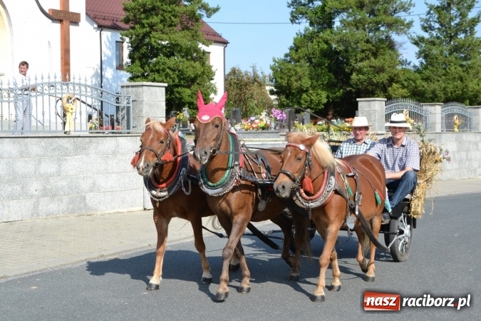 Zdjęcie w galerii na portalu naszraciborz.pl: Dożynki 2016. Święto plonów w Rudyszwałdzie wiadomości z regionu