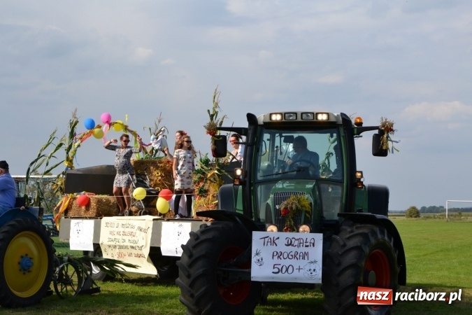 Zdjęcie w galerii na portalu naszraciborz.pl: Dożynki 2016. Święto plonów w Rudyszwałdzie wiadomości z regionu