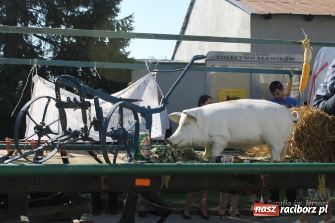 Zdjęcie w galerii na portalu naszraciborz.pl: Boże, z Twoich rąk żyjemy - dożynki w Sławikowie  wiadomości z regionu
