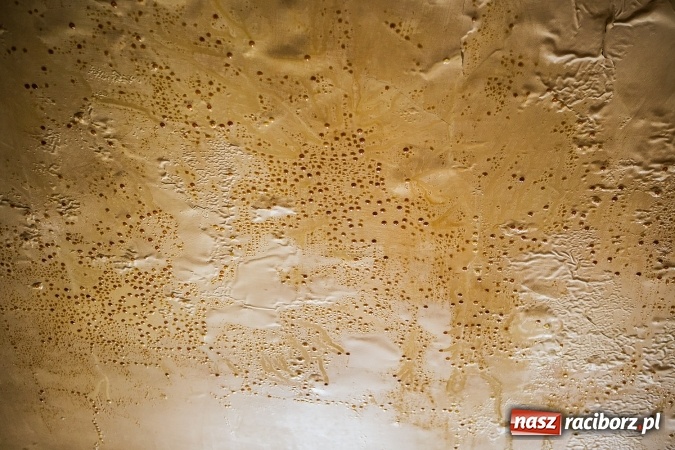 Zdjęcie w galerii na portalu naszraciborz.pl: Koszmar przy Rybnickiej. Niezabezpieczony dach przyczyną zalania mieszkań wiadomości z regionu