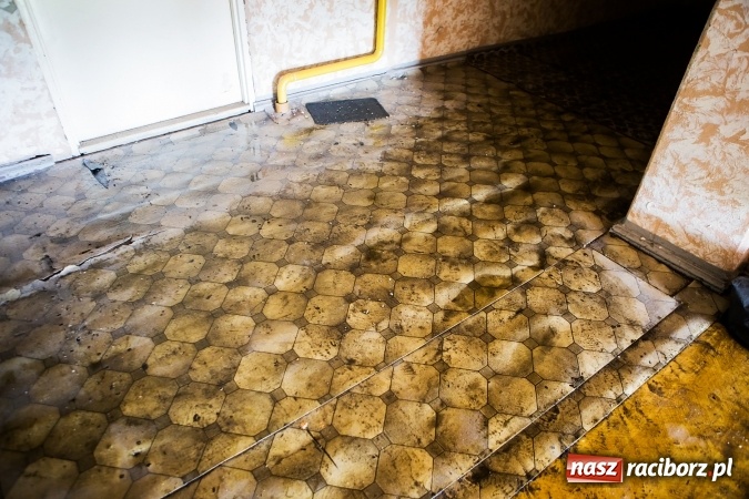 Zdjęcie w galerii na portalu naszraciborz.pl: Koszmar przy Rybnickiej. Niezabezpieczony dach przyczyną zalania mieszkań wiadomości z regionu