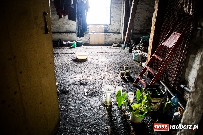 Zdjęcie w galerii na portalu naszraciborz.pl: Koszmar przy Rybnickiej. Niezabezpieczony dach przyczyną zalania mieszkań wiadomości z regionu