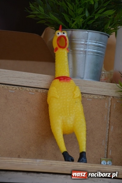 Zdjęcie w galerii na portalu naszraciborz.pl: Pomysłem można więcej niż pieniędzmi  wiadomości z regionu