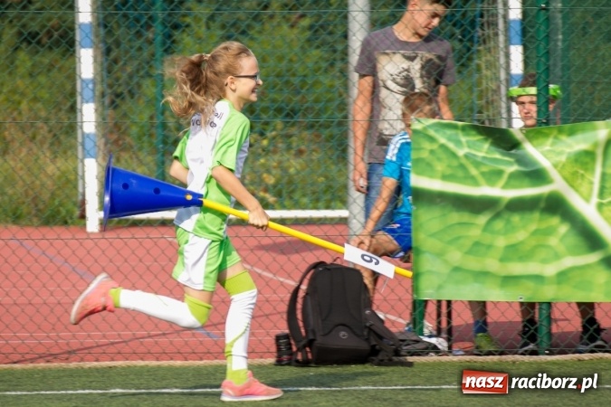 Zdjęcie w galerii na portalu naszraciborz.pl: Turniej sołectw na Dni Krzanowic 2016. Wygrał Borucin!  wiadomości z regionu
