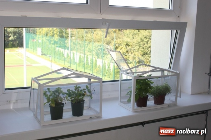 Zdjęcie w galerii na portalu naszraciborz.pl: Otwarcie Zielonej Pracowni w Będzinie wiadomości z regionu