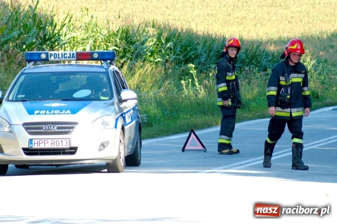Zdjęcie w galerii na portalu naszraciborz.pl: DK 45. Zderzenie motocykla suzuki z osobową kią na trasie Racibórz - Opole wiadomości z regionu