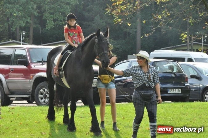 Zdjęcie w galerii na portalu naszraciborz.pl: Dzień Energetyka 2016. Rodzinny piknik dla pracownik&oacute;w Rafako. Gwiazdą Doda wiadomości z regionu