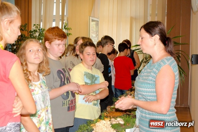 Zdjęcie w galerii na portalu naszraciborz.pl: Dzieci i młodzież z Raciborza poznały różne gatunki grzybów wiadomości z regionu
