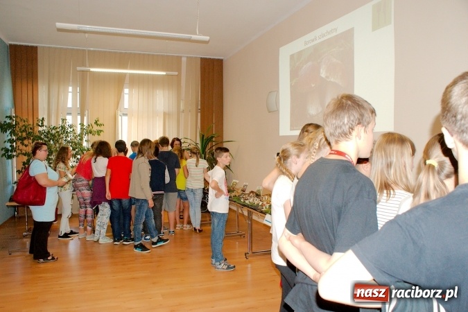 Zdjęcie w galerii na portalu naszraciborz.pl: Dzieci i młodzież z Raciborza poznały różne gatunki grzybów wiadomości z regionu