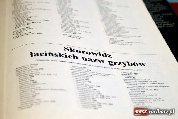 Zdjęcie w galerii na portalu naszraciborz.pl: Dzieci i młodzież z Raciborza poznały różne gatunki grzybów wiadomości z regionu