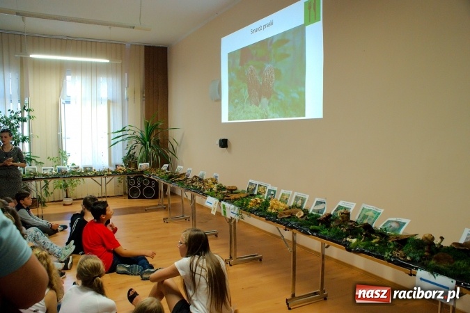 Zdjęcie w galerii na portalu naszraciborz.pl: Dzieci i młodzież z Raciborza poznały różne gatunki grzybów wiadomości z regionu