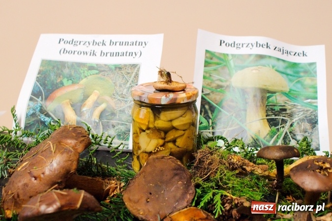 Zdjęcie w galerii na portalu naszraciborz.pl: Dzieci i młodzież z Raciborza poznały różne gatunki grzybów wiadomości z regionu