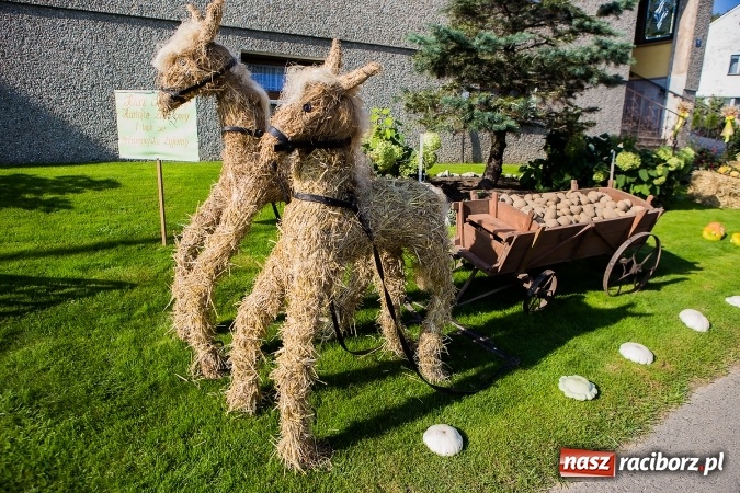 Zdjęcie w galerii na portalu naszraciborz.pl: Dożynki 2016. Gmina Rudnik świętuje w parafii Łubowice wiadomości z regionu