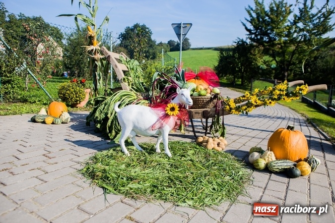 Zdjęcie w galerii na portalu naszraciborz.pl: Dożynki 2016. Gmina Rudnik świętuje w parafii Łubowice wiadomości z regionu