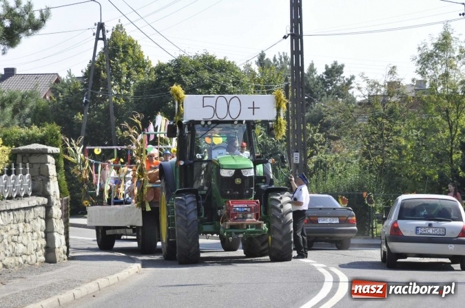 Zdjęcie w galerii na portalu naszraciborz.pl: Dożynki Powiatowe 2016. KORNOWAC - mała gmina z długim korowodem wiadomości z regionu