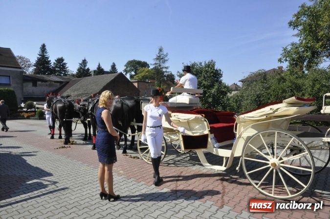 Zdjęcie w galerii na portalu naszraciborz.pl: Dożynki Powiatowe 2016. KORNOWAC - mała gmina z długim korowodem wiadomości z regionu