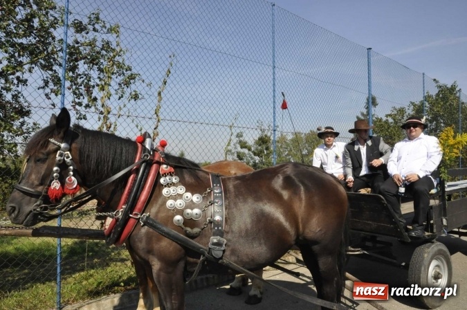 Zdjęcie w galerii na portalu naszraciborz.pl: Dożynki Powiatowe 2016. KORNOWAC - mała gmina z długim korowodem wiadomości z regionu