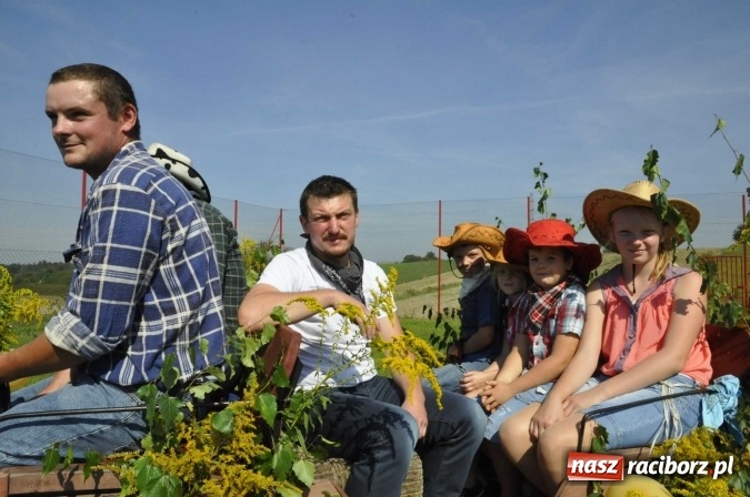 Zdjęcie w galerii na portalu naszraciborz.pl: Dożynki Powiatowe 2016. KORNOWAC - mała gmina z długim korowodem wiadomości z regionu
