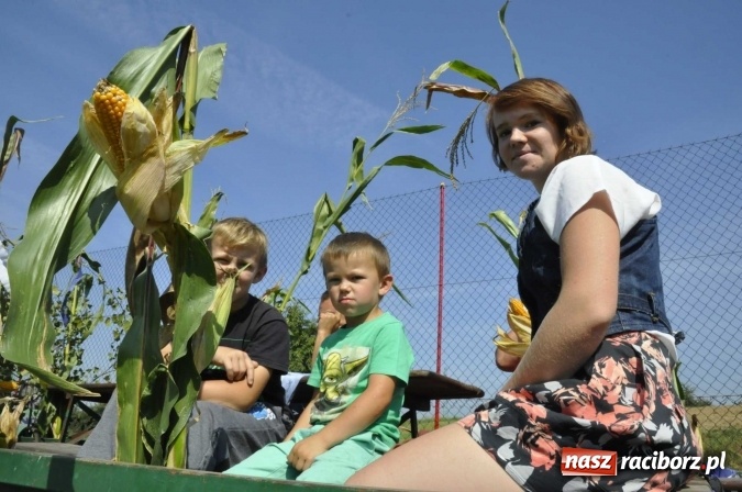 Zdjęcie w galerii na portalu naszraciborz.pl: Dożynki Powiatowe 2016. KORNOWAC - mała gmina z długim korowodem wiadomości z regionu