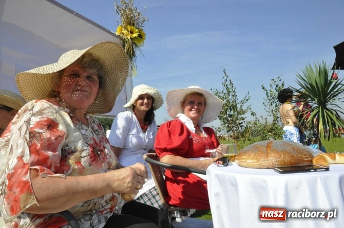 Zdjęcie w galerii na portalu naszraciborz.pl: Dożynki Powiatowe 2016. KORNOWAC - mała gmina z długim korowodem wiadomości z regionu