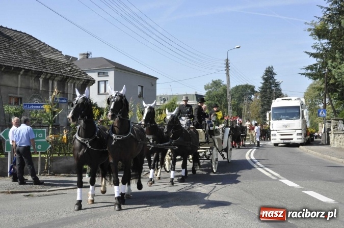 Zdjęcie w galerii na portalu naszraciborz.pl: Dożynki Powiatowe 2016. KORNOWAC - mała gmina z długim korowodem wiadomości z regionu