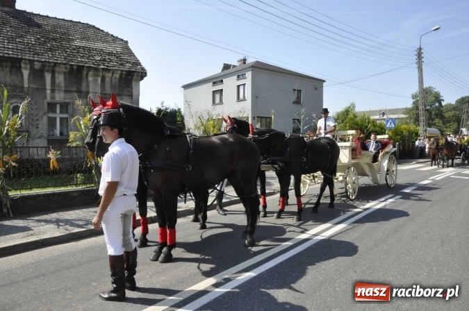 Zdjęcie w galerii na portalu naszraciborz.pl: Dożynki Powiatowe 2016. KORNOWAC - mała gmina z długim korowodem wiadomości z regionu