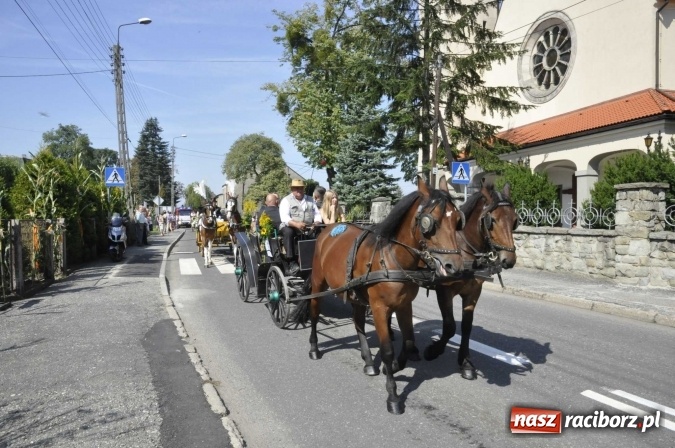 Zdjęcie w galerii na portalu naszraciborz.pl: Dożynki Powiatowe 2016. KORNOWAC - mała gmina z długim korowodem wiadomości z regionu