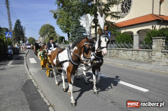 Zdjęcie w galerii na portalu naszraciborz.pl: Dożynki Powiatowe 2016. KORNOWAC - mała gmina z długim korowodem wiadomości z regionu