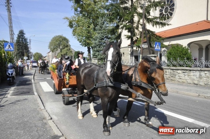 Zdjęcie w galerii na portalu naszraciborz.pl: Dożynki Powiatowe 2016. KORNOWAC - mała gmina z długim korowodem wiadomości z regionu