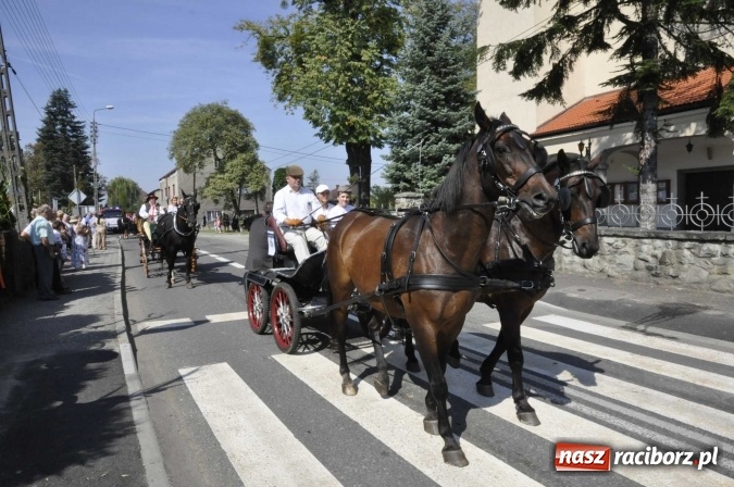 Zdjęcie w galerii na portalu naszraciborz.pl: Dożynki Powiatowe 2016. KORNOWAC - mała gmina z długim korowodem wiadomości z regionu