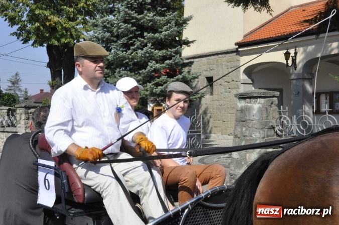 Zdjęcie w galerii na portalu naszraciborz.pl: Dożynki Powiatowe 2016. KORNOWAC - mała gmina z długim korowodem wiadomości z regionu