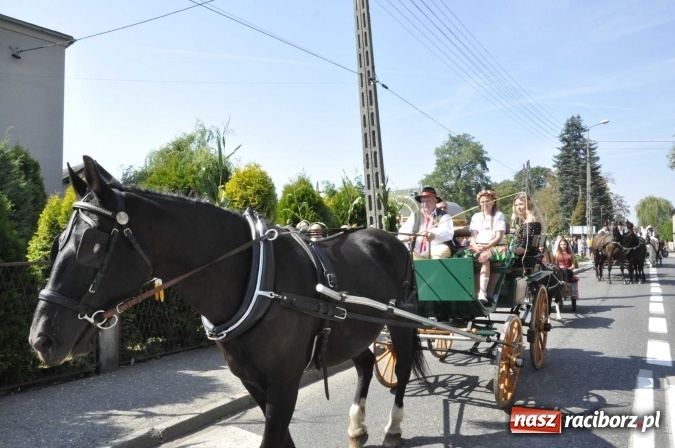 Zdjęcie w galerii na portalu naszraciborz.pl: Dożynki Powiatowe 2016. KORNOWAC - mała gmina z długim korowodem wiadomości z regionu