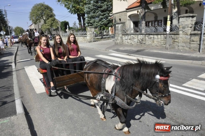 Zdjęcie w galerii na portalu naszraciborz.pl: Dożynki Powiatowe 2016. KORNOWAC - mała gmina z długim korowodem wiadomości z regionu