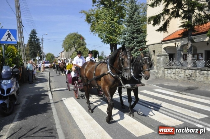 Zdjęcie w galerii na portalu naszraciborz.pl: Dożynki Powiatowe 2016. KORNOWAC - mała gmina z długim korowodem wiadomości z regionu